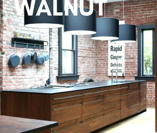 Modern Walnut Kitchen Cabinets