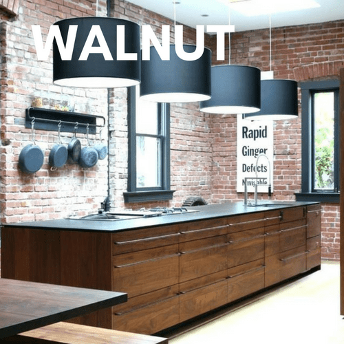 Modern Walnut Kitchen Cabinets