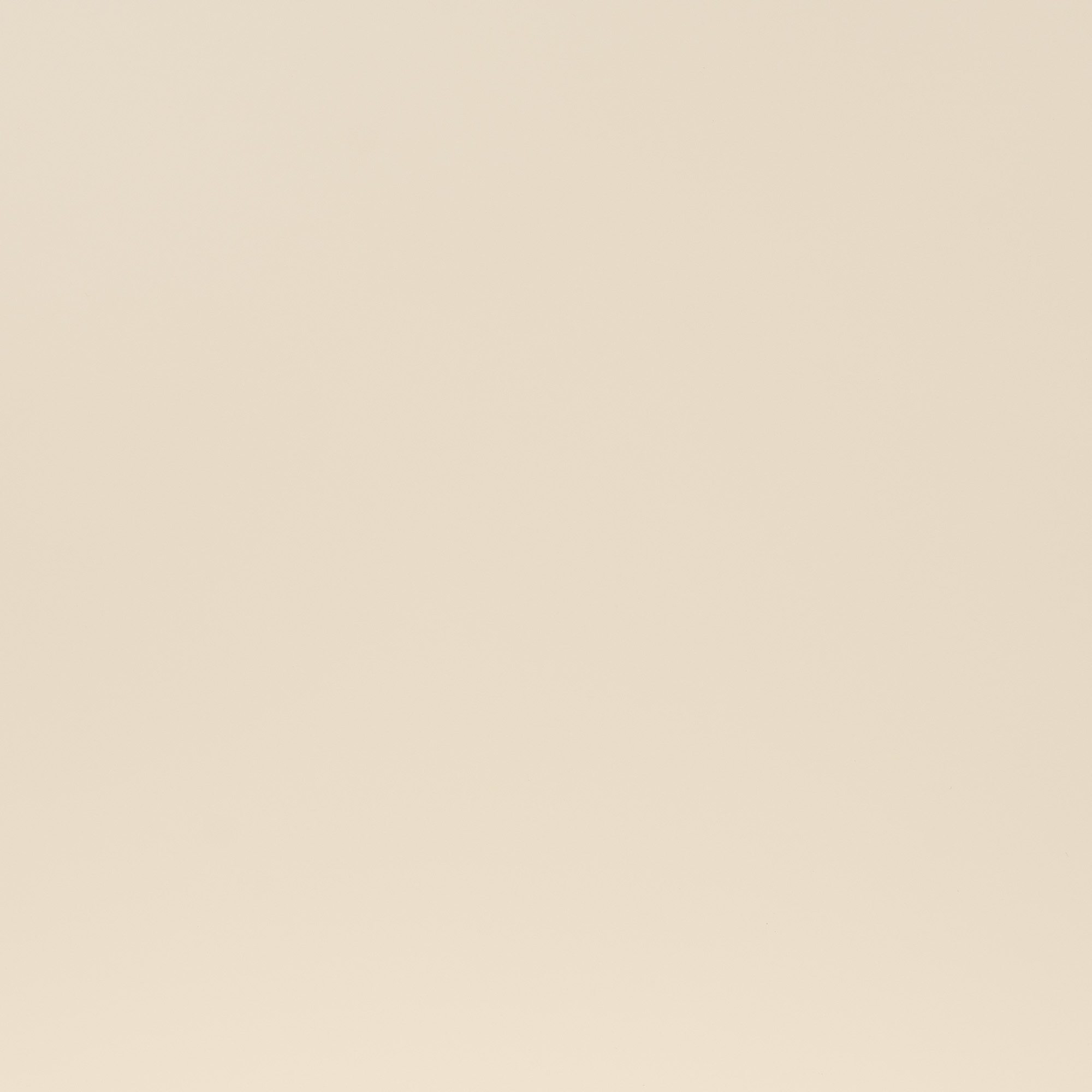 Mod Cabinetry Naturals Line Paint Almond Texture