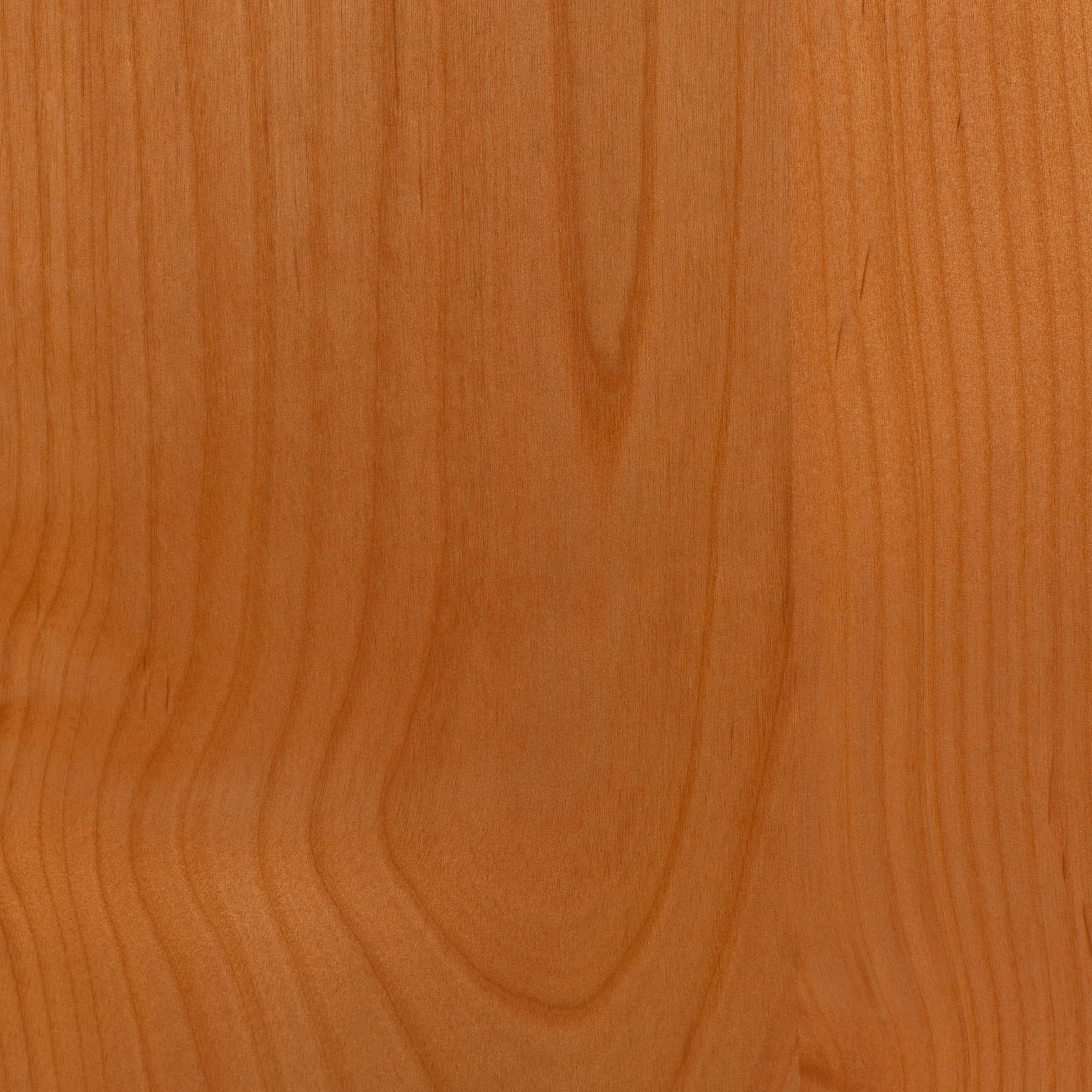 Mod Cabinetry Naturals Line Alder Natural Texture