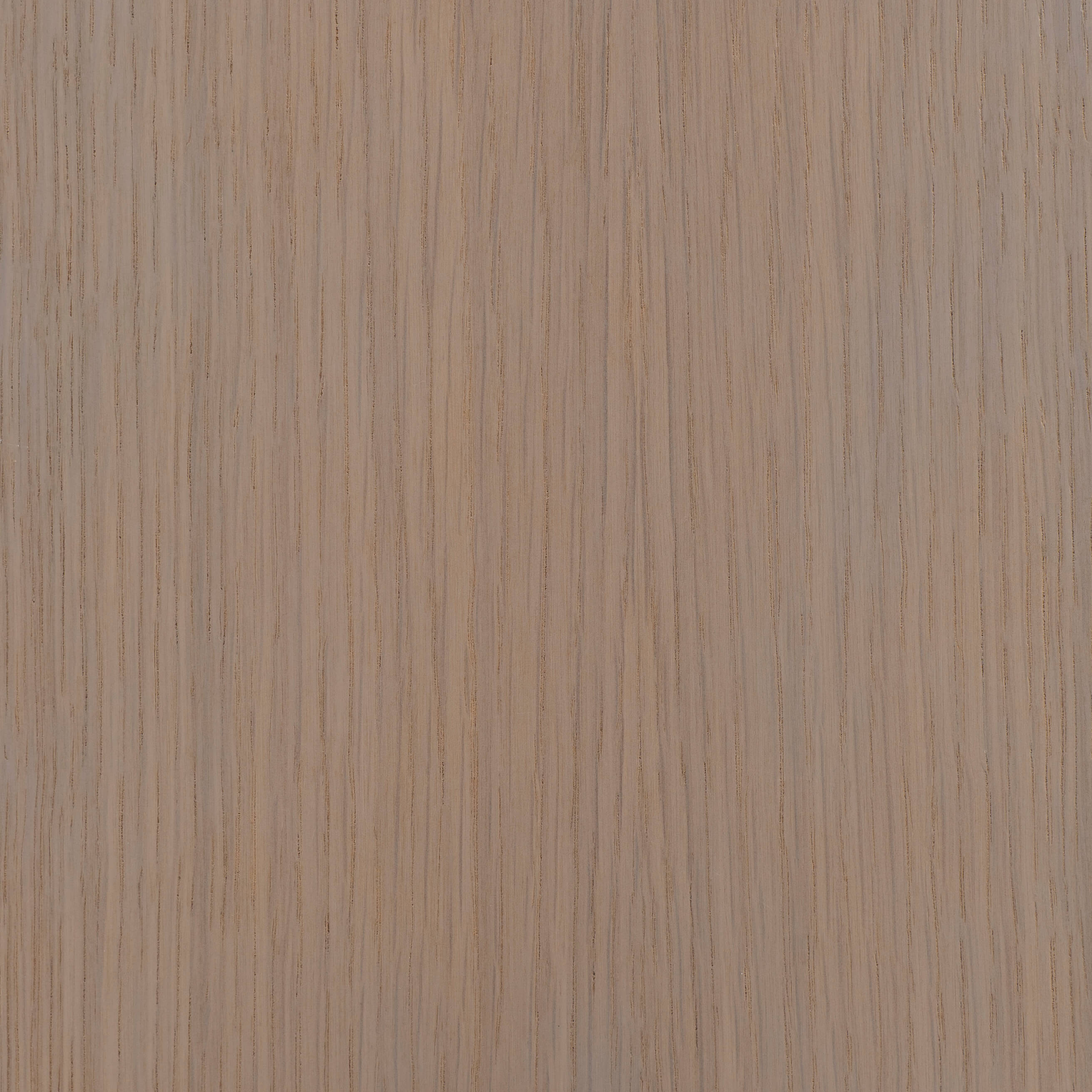 Mod Cabinetry Naturals Line Oak London Fog texture