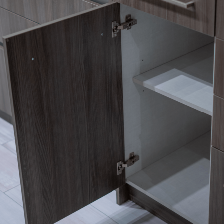 Modern Kitchen Cabinetry Euro pantry Shelves