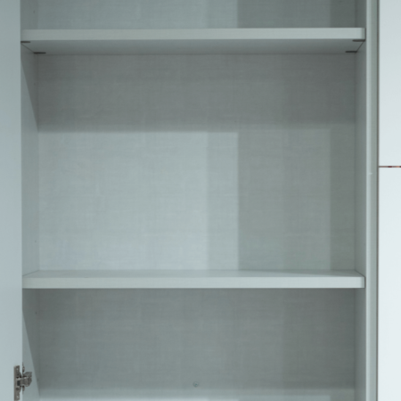 Modern Kitchen Cabinetry Euro wall cabinet interior
