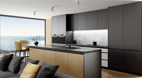 Mod Cabinetry for Black Kitchen Cabinets, black kitchen cabinets, black and white kitchen cabinets, small kitchen black kitchen cabinets, modern black kitchen cabinets
