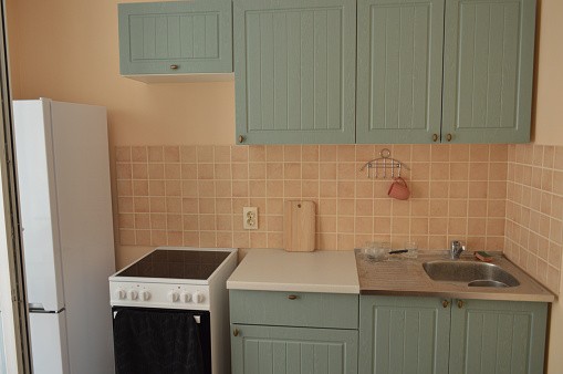 Apartment interior in a residential building Mod Cabinetry for Green Kitchen Cabinets, green kitchen cabinets, sage green kitchen cabinets, dark green kitchen cabinets, modern green kitchen cabinets