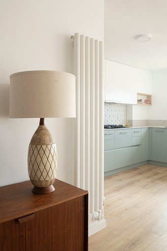 Mod Cabinetry for Mid-Century Modern Kitchen Cabinets