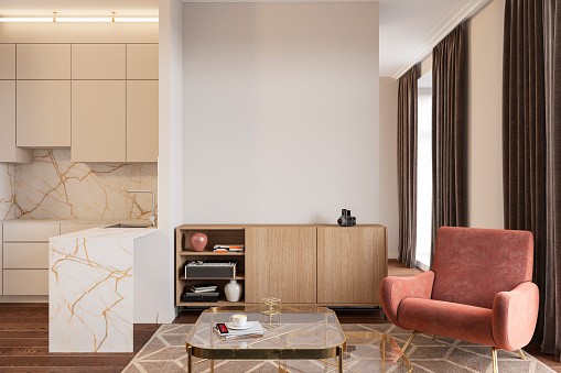 Mod Cabinetry for Mid-Century Modern Kitchen Cabinets