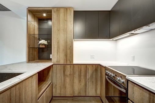 Mod Cabinetry for Mid-Century Modern Kitchen Cabinets