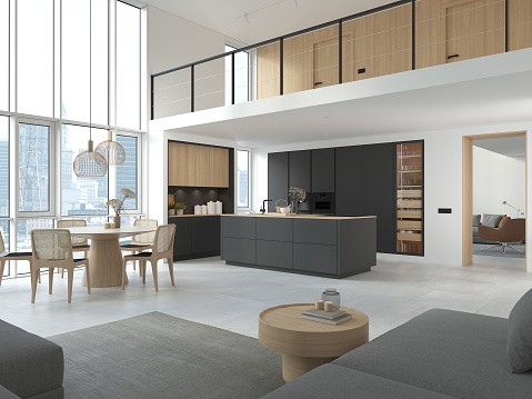 Mod Cabinetry for Mid-Century Modern Kitchen Cabinets
