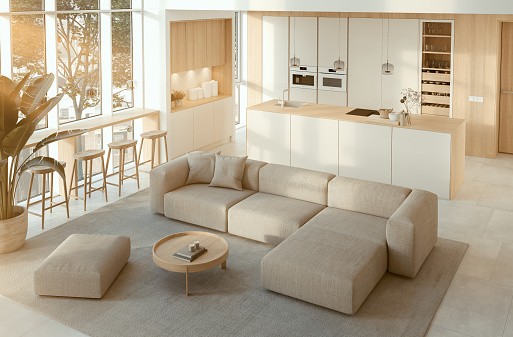 Mod Cabinetry for Mid-Century Modern Kitchen Cabinets