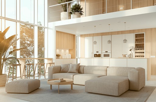 Mod Cabinetry for Mid-Century Modern Kitchen Cabinets