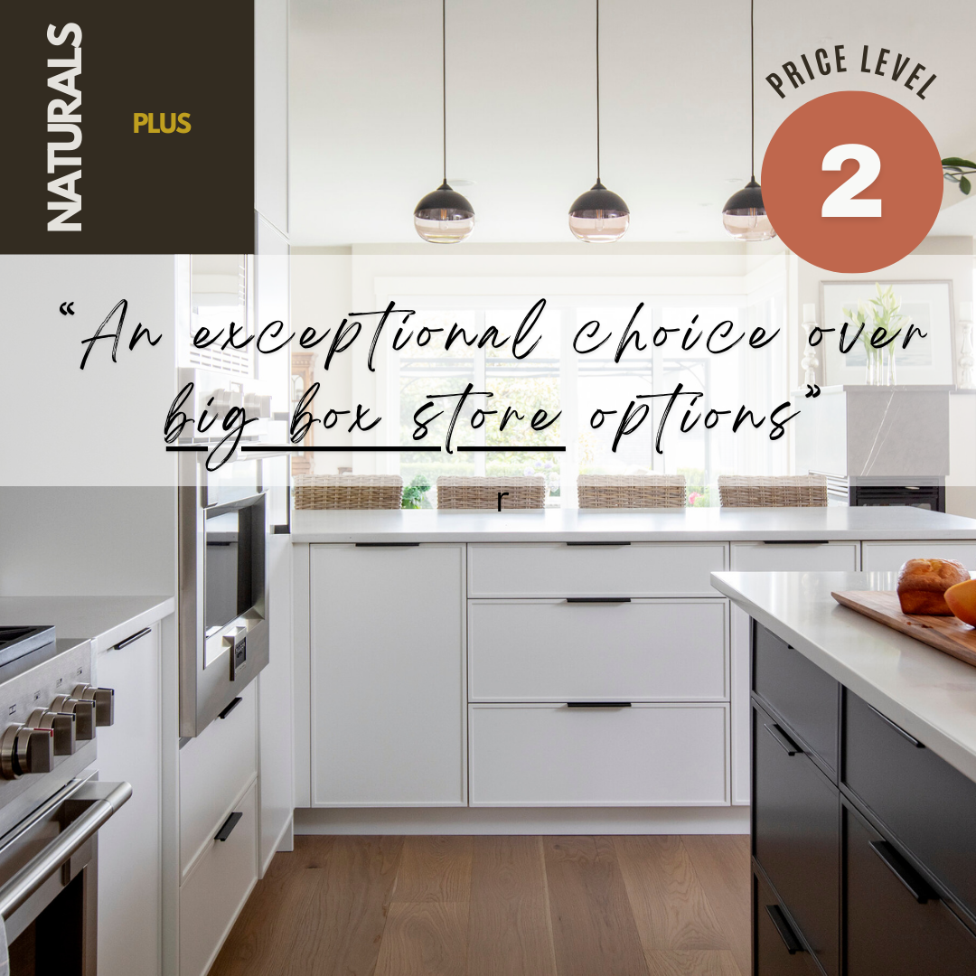 Mod Cabinetry for Kitchen Cabinets in Danville