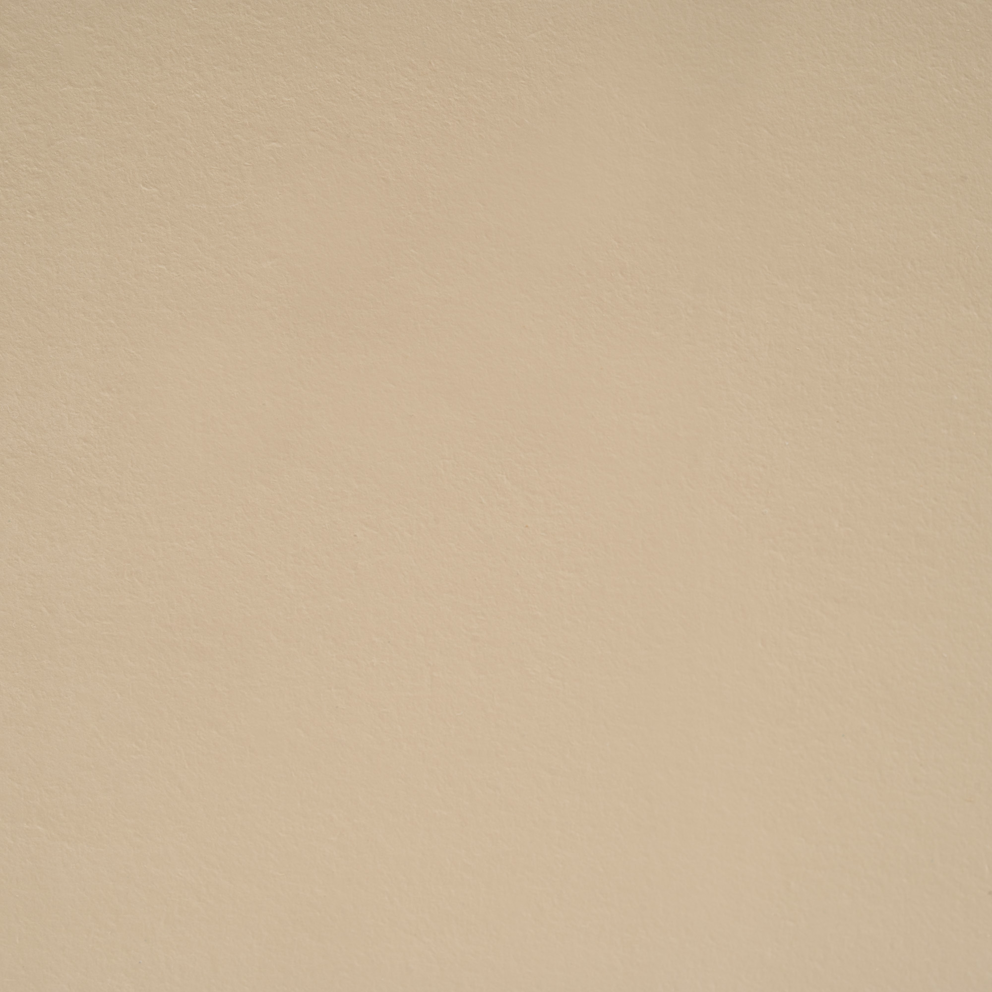 Mod Cabinetry Nations Paint Khaki Texture