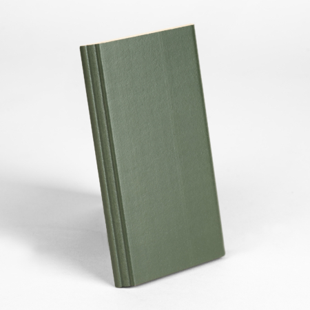 Mod Cabinetry Nations Sage Green Sample