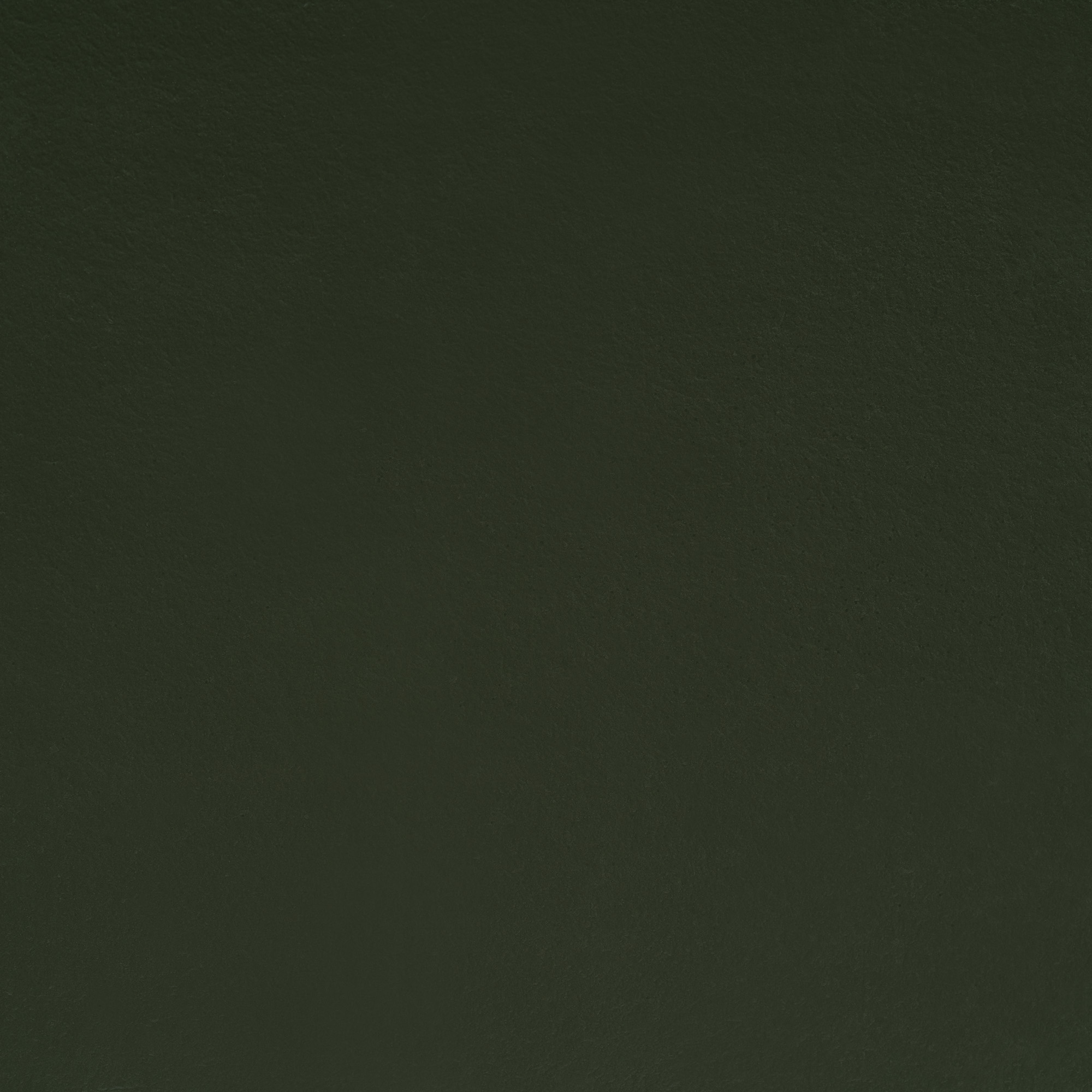 Mod Cabinetry Nations Paint Sage Green Texture