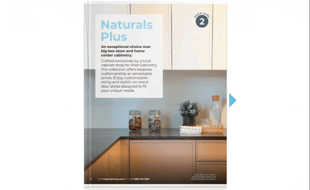 Mod Cabinetry for
