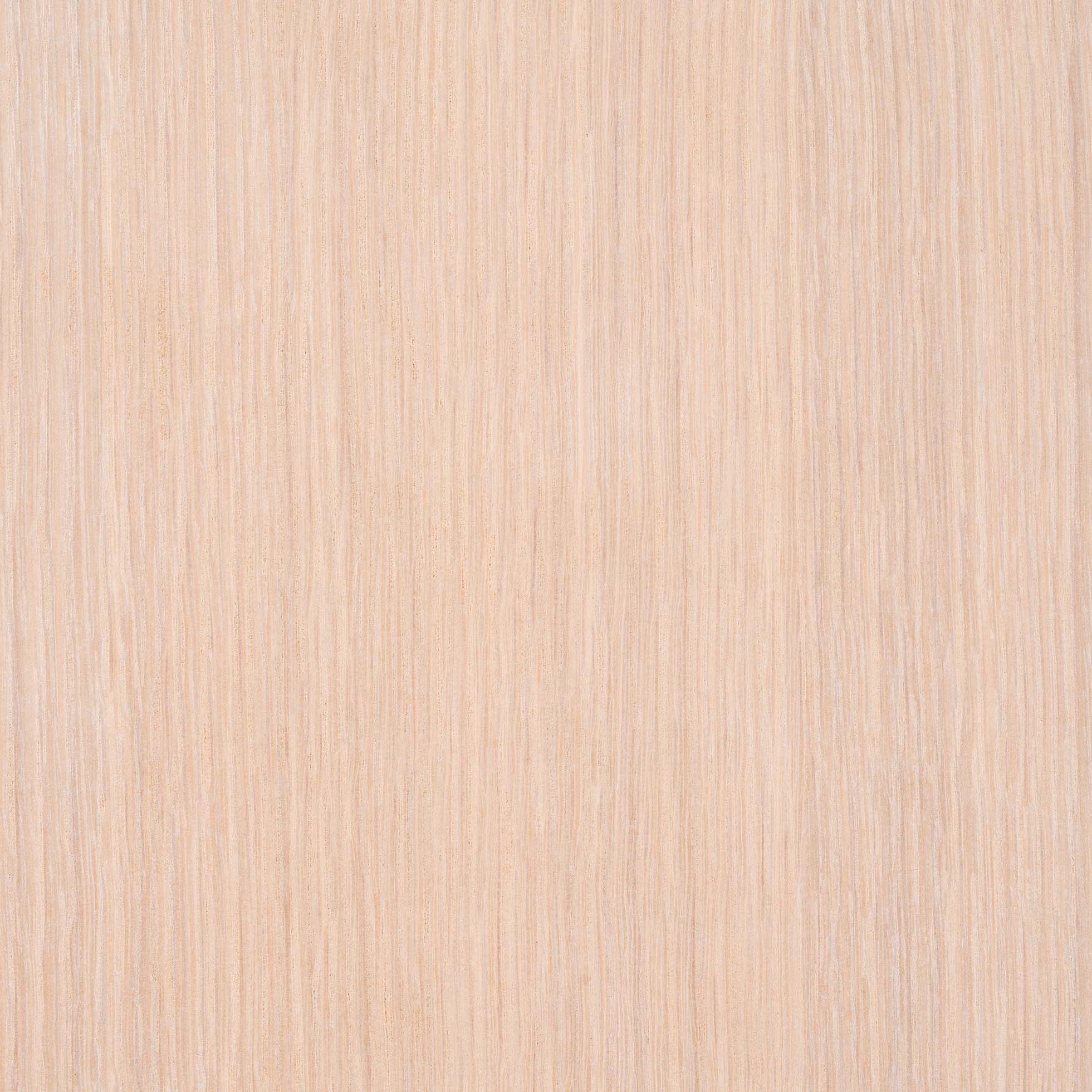 Mod Cabinetry Naturals Plus Rift Oak Icicle Texture